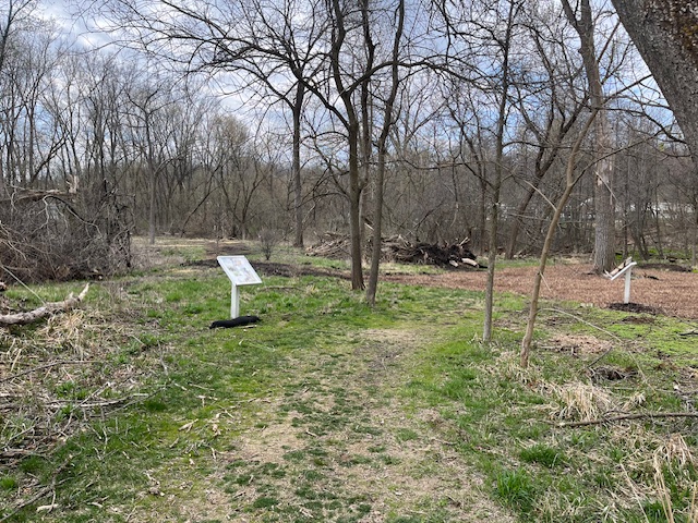 More clearing along trail storywalk trail 4