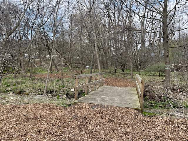 New bridge location along trail storywalk trail 2