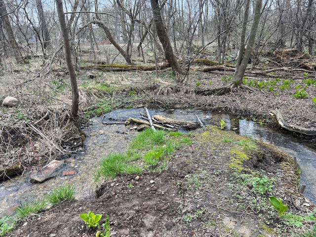 Creek along the Hildebrand trail storywalk trail 1
